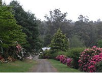 Mountain Rivers Lodge - Accommodation Cooktown