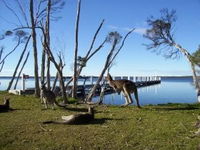 Waterfront Retreat At Wattle Point - SA Accommodation