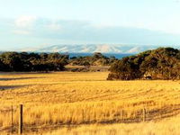 The Kona - Accommodation Mt Buller