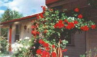 Rose Cottage Bed And Breakfast - Lismore Accommodation