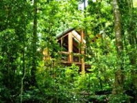 Fur'N'Feathers Rainforest Tree Houses - Whitsundays Tourism