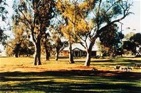Blue Gum House - Accommodation Bookings