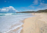 Palm Court Noosa - Great Ocean Road Tourism