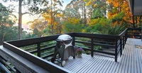 Misty Woods Retreat - Olinda - Phillip Island Accommodation