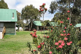 Rosegarland TAS Accommodation BNB