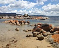 Lake Eckersley campground - Accommodation Cairns