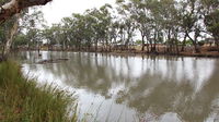 Riverbank Caravan Park - Tourism Cairns