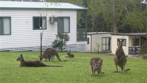 Macarthur VIC Tourism Canberra