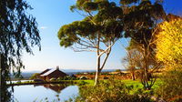 Tuki Trout Farm and Retreat - Yamba Accommodation