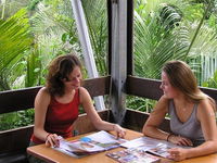 Banana Benders Backpackers - Accommodation Daintree