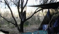 Main Beach Foreshore Camping Grounds - Accommodation Port Hedland