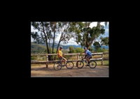 Howqua Valley Views - Tourism Cairns