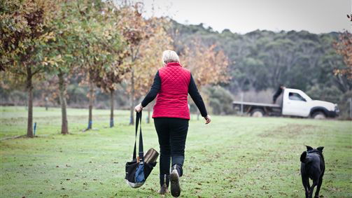 Wattle Flat VIC Carnarvon Accommodation