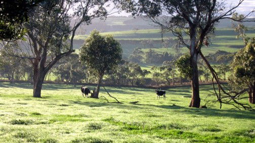 Scotts Creek ACT Accommodation Yamba