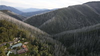 Howmans Gap Alpine Centre YMCA - Lightning Ridge Tourism