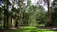 Wildwood Retreat - Accommodation Brisbane