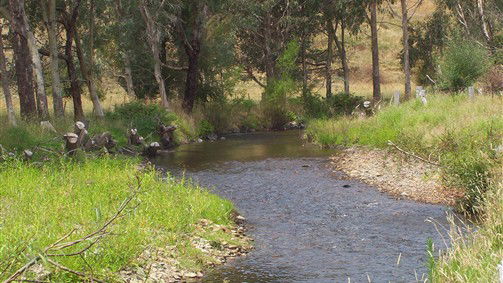 Thowgla Valley VIC Tourism Canberra