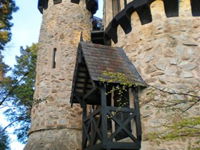 The Castle Keep BB at Thorngrove - Whitsundays Tourism