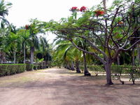 Alva Beach Tourist Park - Surfers Gold Coast