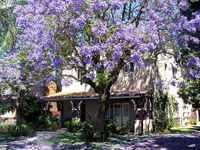 Callam Court - Perisher Accommodation