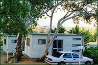 Cooma Snowy Mountains Tourist Park - Accommodation Coffs Harbour