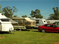Crocodile Caravan   Camping Park - Accommodation Australia