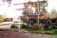 Griffith Caravan Village - Tourism Cairns