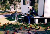 Inland Waters Holiday Parks Burrinjuck - Townsville Tourism