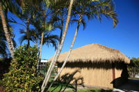 Ivory Palms Resort - Accommodation Resorts