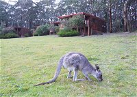 Jenolan Caves Cottages - Accommodation Cooktown