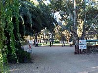 Kingston-On-Murray Caravan Park - Broome Tourism