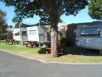 Lakes Haven Caravan Park - Great Ocean Road Tourism