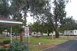 Pine Clump NSW Geraldton Accommodation