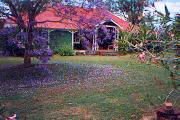 Minmore Farmstay and BB - Accommodation Cooktown