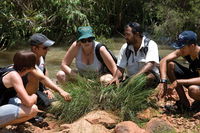 Nitmiluk Tours  Accommodation - Accommodation NT