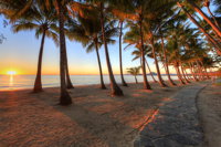 Palm Cove Holiday Park - Townsville Tourism