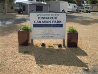 Pinnaroo Caravan Park - Lennox Head Accommodation
