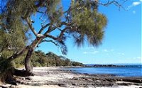 Currarong Beachside Holiday Park - Whitsundays Tourism