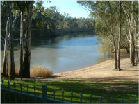 Riverview Motel Deniliquin - Accommodation in Surfers Paradise