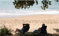 Torquay Beachfront Tourist Park - Whitsundays Tourism