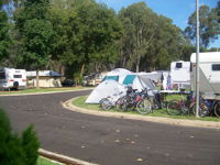 Wangaratta Caravan  Tourist Park - Accommodation Bookings