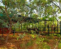 Arnhemland Barramundi Nature Lodge - Tourism Brisbane