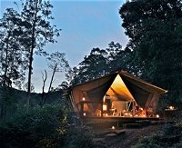 nightfall wilderness camp - Accommodation Yamba
