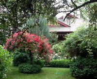 Allan Court Gardens Accommodation - Accommodation BNB