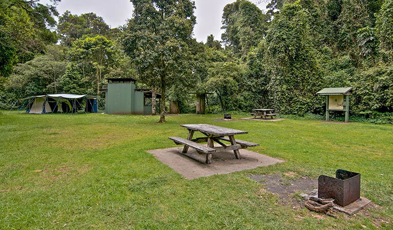 Lynchs Creek NSW Accommodation Cairns