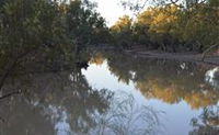 Four Mile Camping Reserve - Surfers Gold Coast