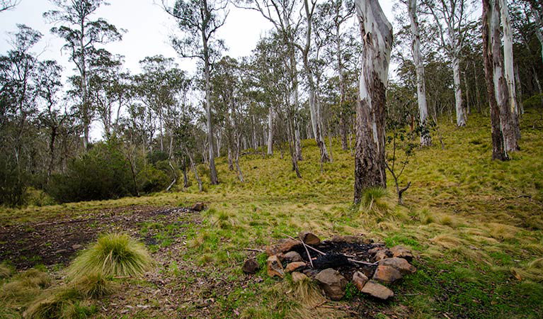Tomalla NSW Accommodation Mount Tamborine