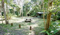Iron Pot Creek campground - Accommodation in Brisbane