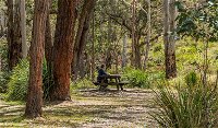 Koreelah Creek campground - Mackay Tourism