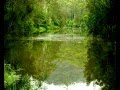 Mangrove Yoga Ashram - Accommodation Gold Coast